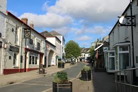 Image result for Ivybridge Cricket Club