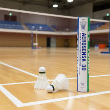 Image result for Feathers (New Milton) Badminton Club