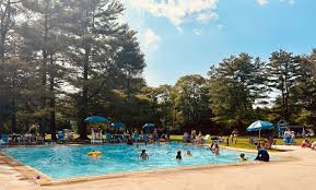 Image result for Ware Swimming Club