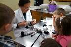  Veterinary college's Annual Open House to be held March 31 | The ... 