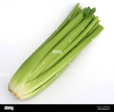 Image result for Sellerie