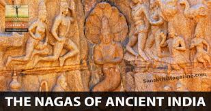 Kuvahaun tulos haulle nagas