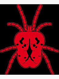 Attēlu rezultāti vaicājumam “Acari”