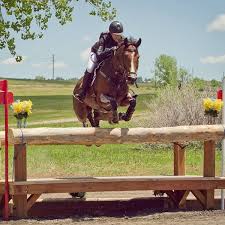 Image result for Fisher Equestrian