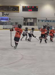 Image result for Telford Junior Ice Hockey Club