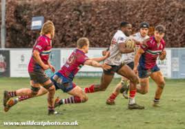 Image result for Silhillians Rugby Union Football Club