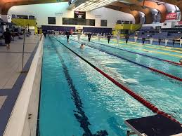 Image result for Tynedale Swimming Club