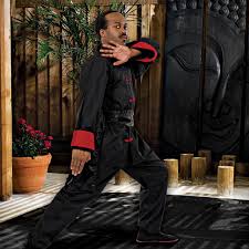 Image result for kung fu
