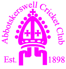 Image result for Portishead Cricket Club