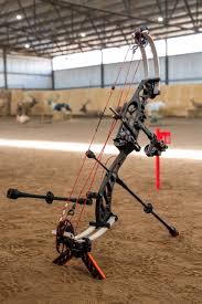 Image result for Rivernook Bowmen