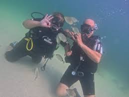 Image result for Abyss Dive Club