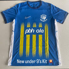 Image result for Hamilton Panthers Association Football Club