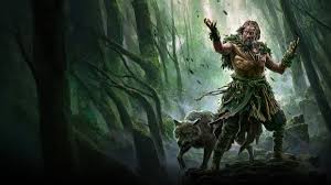 Image result for druid