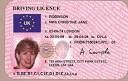 Andrew Allison: DVLA makes £43.9 million selling your personal details