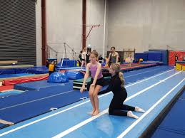 Image result for Hull High Flyers Gymnastics Club