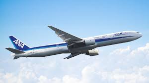 Image result for ana