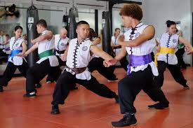 Image result for Hidden Dragon Karate-Do