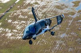 Image result for gepetto tehron