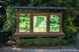 Image result for шри ланка королевский ботанический сад