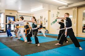 Image result for Soncho Karate Club