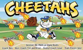 Image result for Cheetahs Softball Team