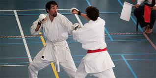 Image result for ENGLISH INTERNATIONAL ALLSTYLES TAEKWONDO