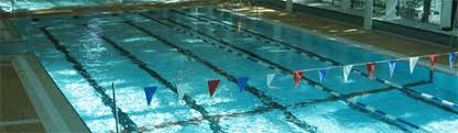 Image result for Kingsbridge Kingfishers Swimming Club