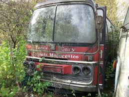 Image result for Castle Cary Cygnets Majorettes