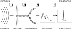 Diagram by Tim Gollisch, - via Daymix