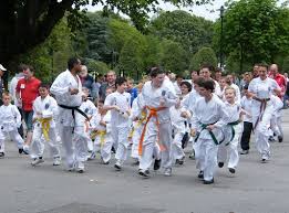 Image result for Beverley Haltemprice Judo Club
