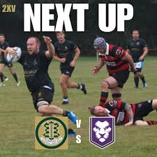 Image result for Vipers Rugby Football Club