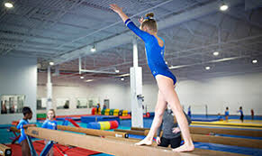 Image result for United Gym Academy Ltd