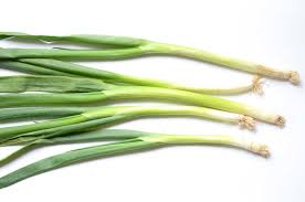Résultat de recherche d'images pour "Allium fistulosum"