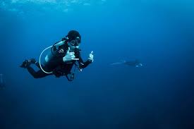 Image result for Manta Divers Sub-Aqua Club
