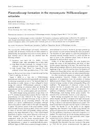 Attēlu rezultāti vaicājumam “Willkommlangea reticulata spores”