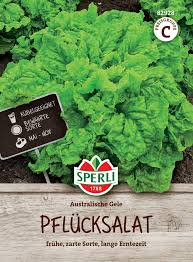Image result for Pflücksalat