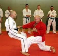 Image result for British Jujitsu Ryu