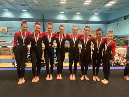 Image result for Basingstoke Gymnastics Club