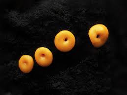 Attēlu rezultāti vaicājumam “Ophiotheca sp.”