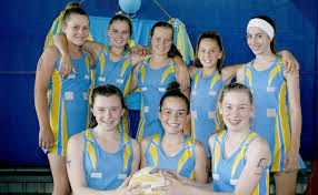 Image result for Civil Service (Ipswich) Netball Club