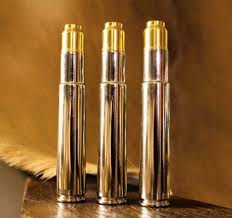 Image result for Barnsley Bullets