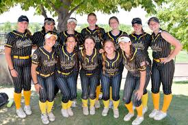 Image result for Cheetahs Softball Team