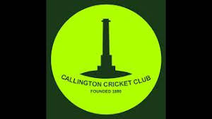 Image result for Yelverton Bohemians Cricket Club