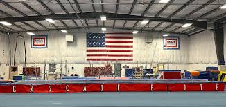 Image result for Epping Forest Elite Gymnastics Club