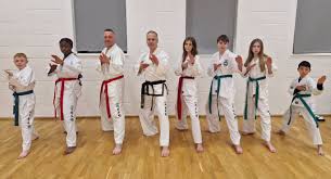 Image result for Bytomic Tae Kwon Do Bracknell