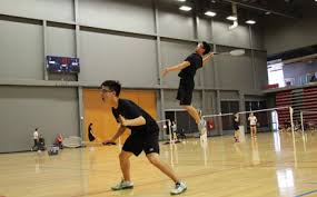 Image result for Totnes Badminton Club