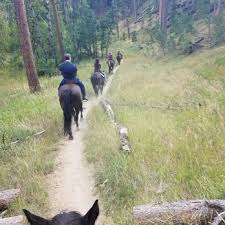Image result for Palmers Riding Stables