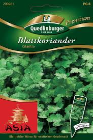 Image result for Koriander