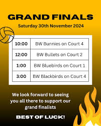 Image result for BRENTWOOD NETBALL CLUB