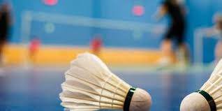 Image result for Appleton Ga Badminton Club
